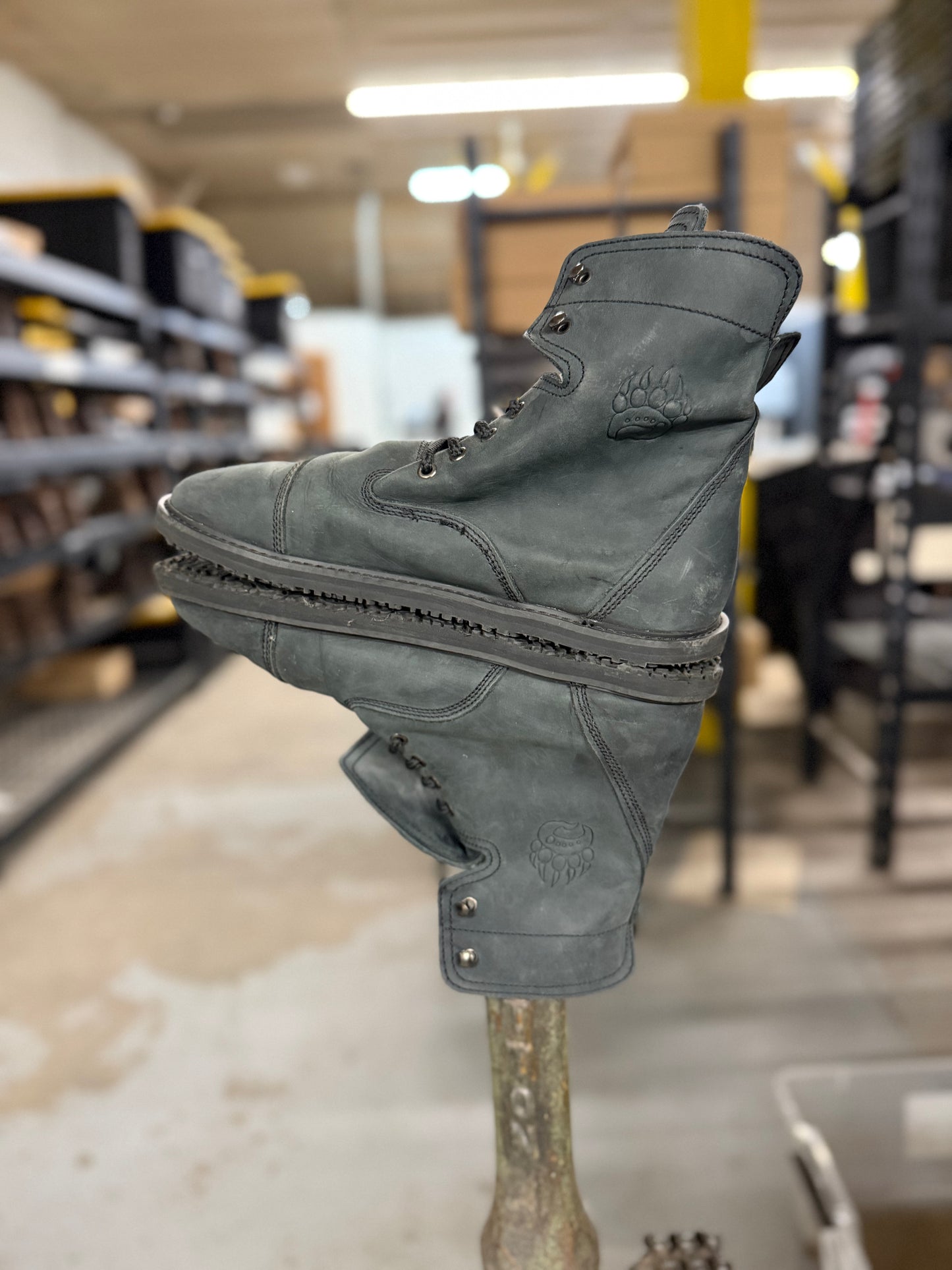 Bearly Used Footwear