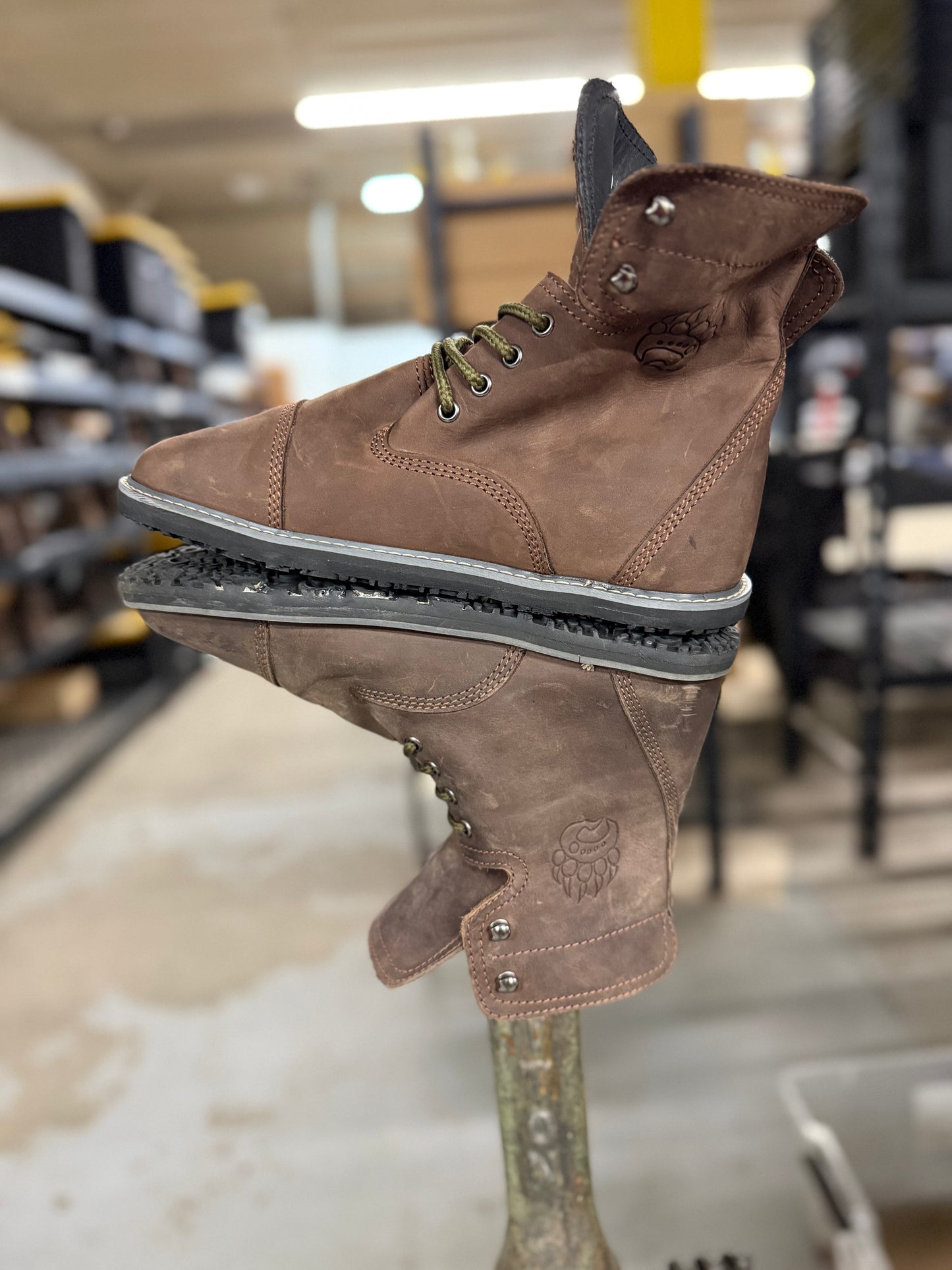 Bearly Used Footwear