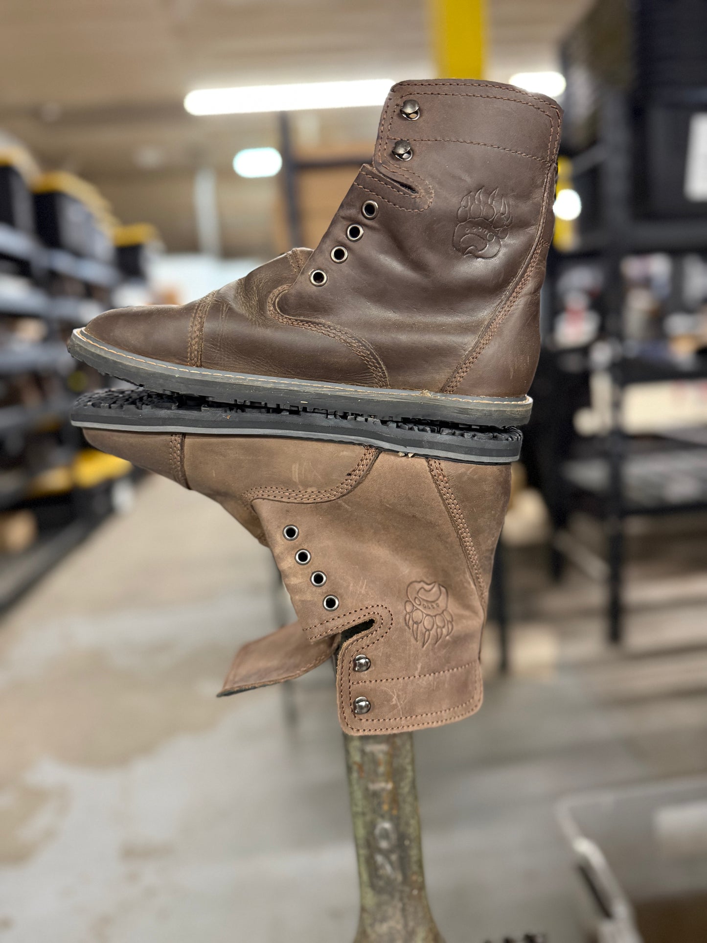 Bearly Used Footwear