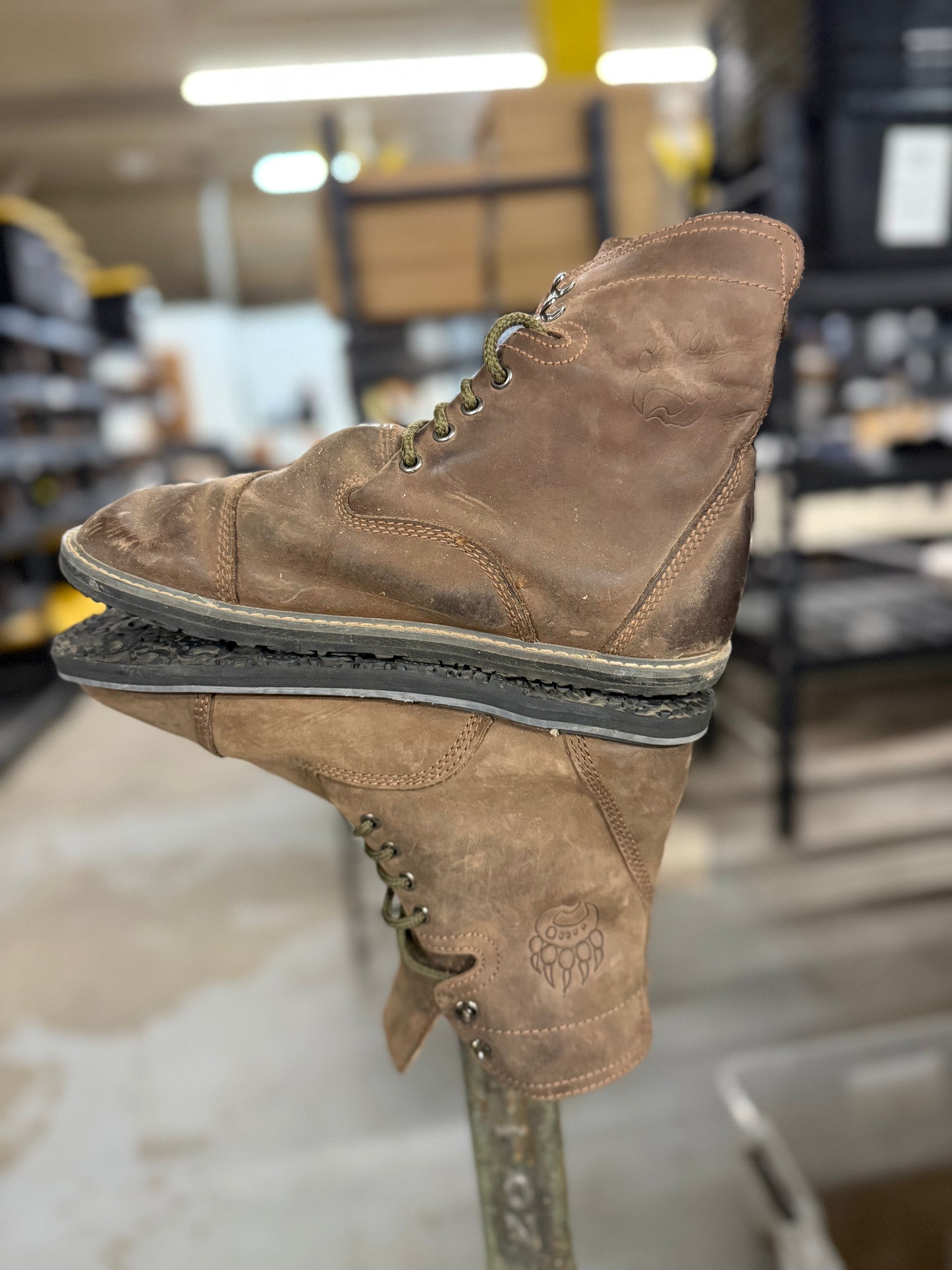 Bearly Used Footwear