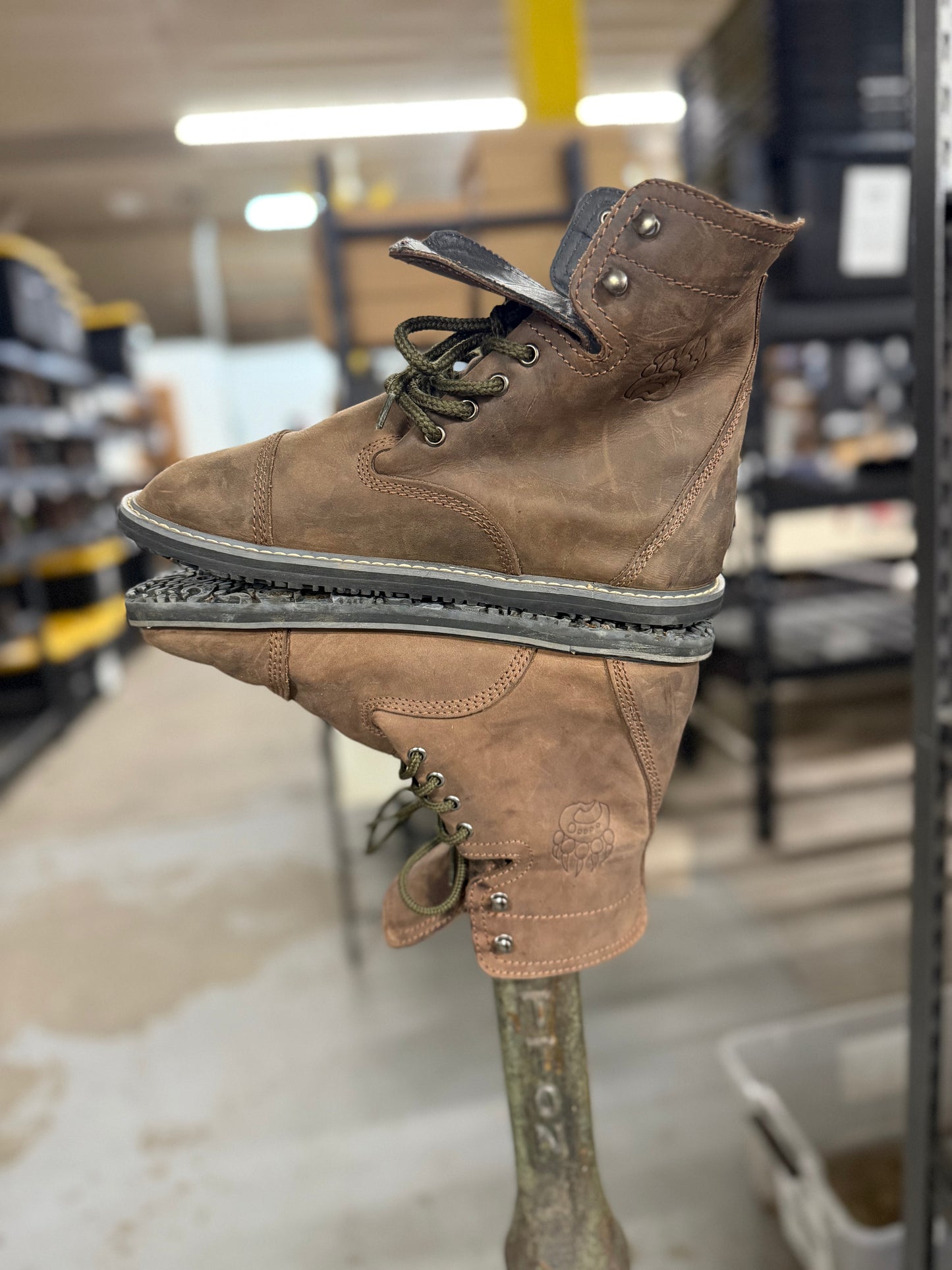 Bearly Used Footwear