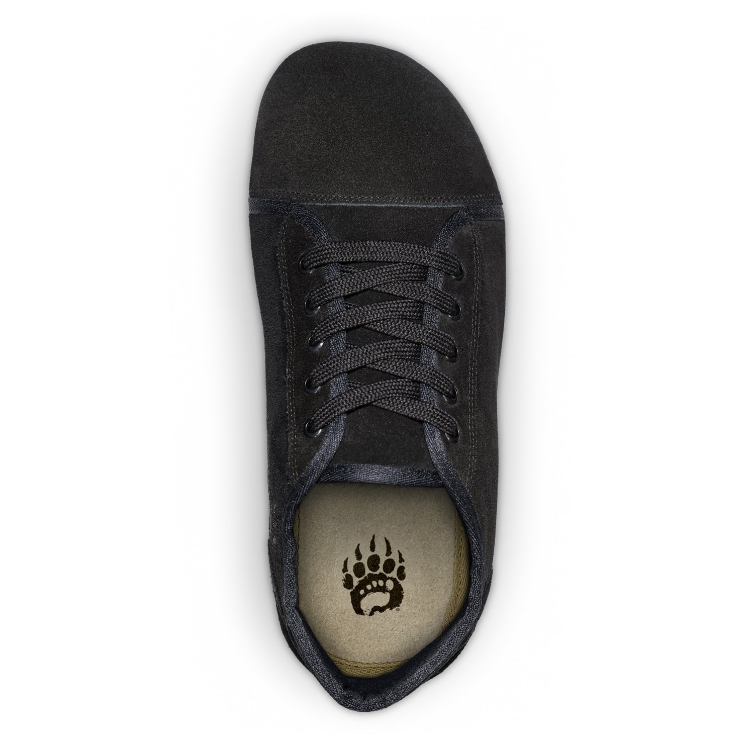 Top view of a single black canvas sneaker with laces, featuring a paw print design on the insole, isolated on white. This versatile training sneaker is ideal for strength athletes.
Product Name: Bearfoot Ursus Suede | Low-Top | Black